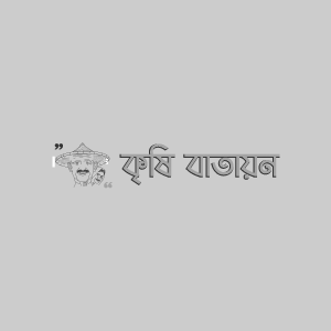 তুষার